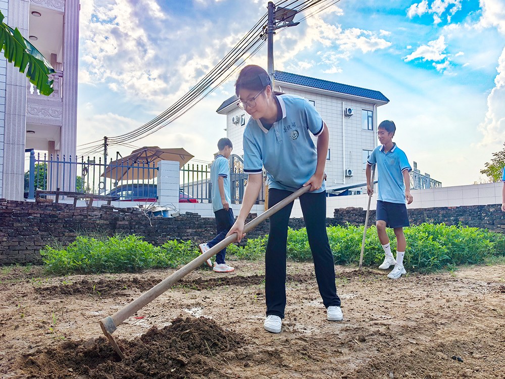 湖南衡阳正规叛逆娃娃培训学校2026家长择校指南